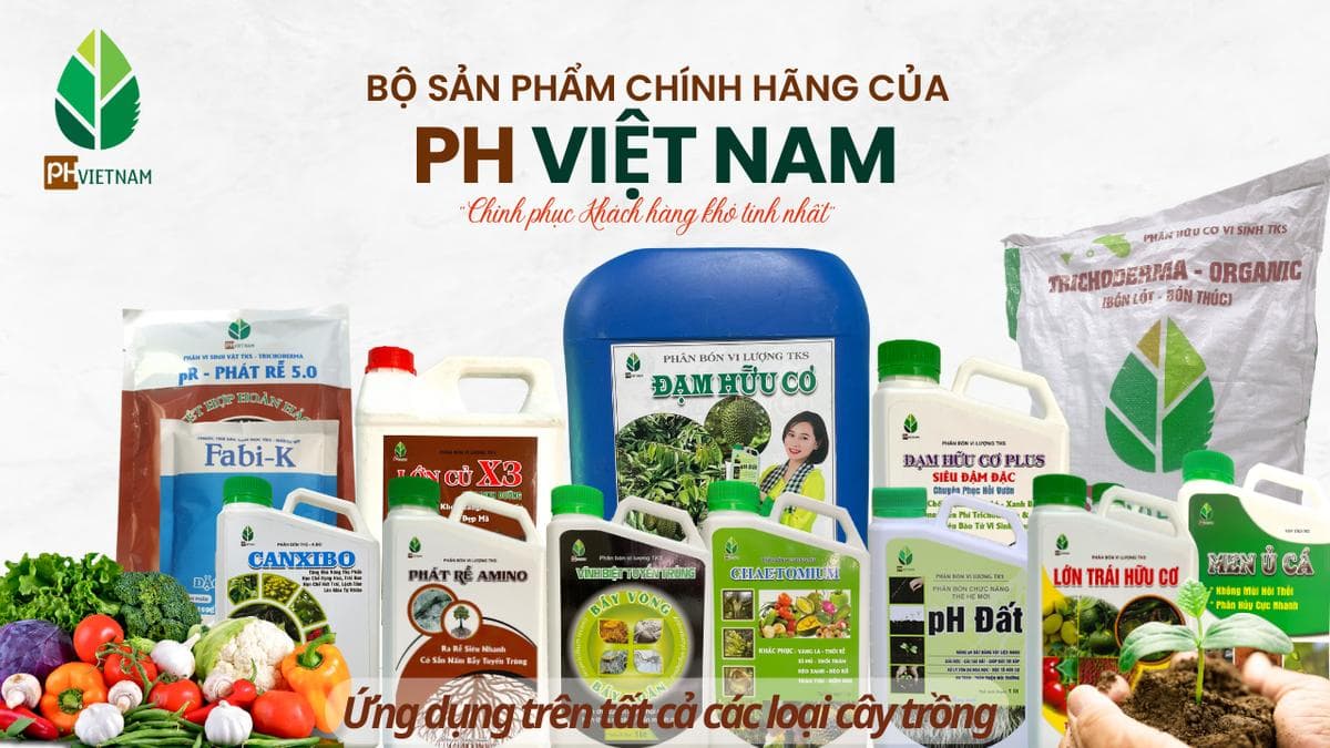 PH Việt Nam facility 1